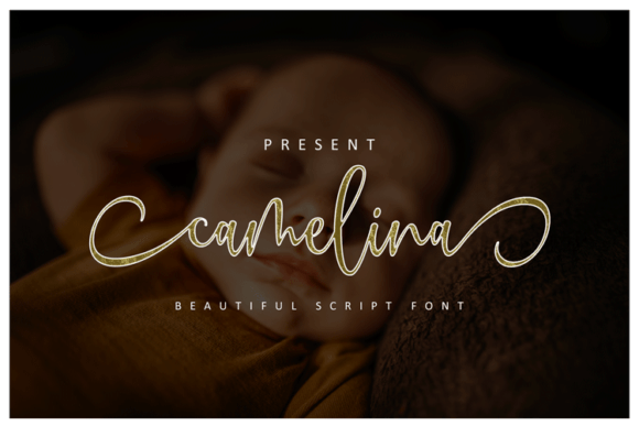 Camelina: A Modern Calligraphy Font for Elegant Branding