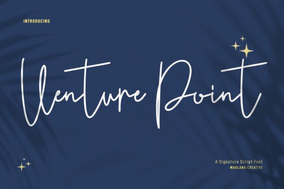 Enhance Your Brand with Venture Point: A Versatile Script Font