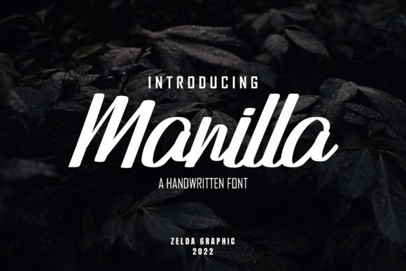 Manilla: A Bold Script Font for Digital Branding