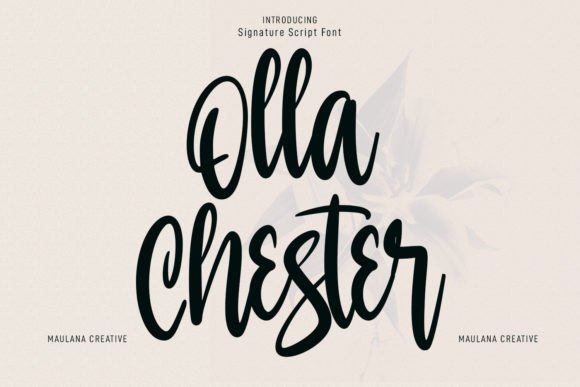Olla Chester: A Font Built for Digital Elegance