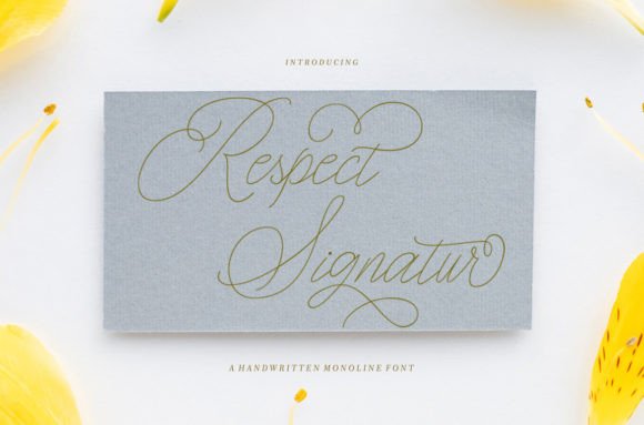 Respect Signature: A Font That Elevates Your Brand's Visual Voice