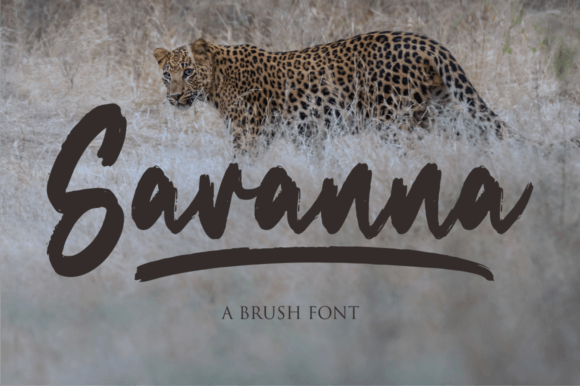 Savanna: A Script Font That Elevates Small Business Branding