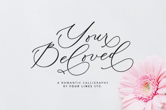 Your Beloved: The Script Font That Brings Warmth to Your Campaigns